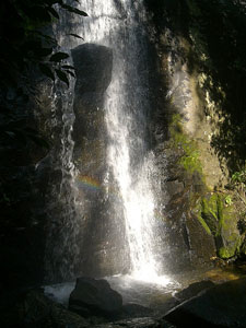 Cachoeira Três Tombos